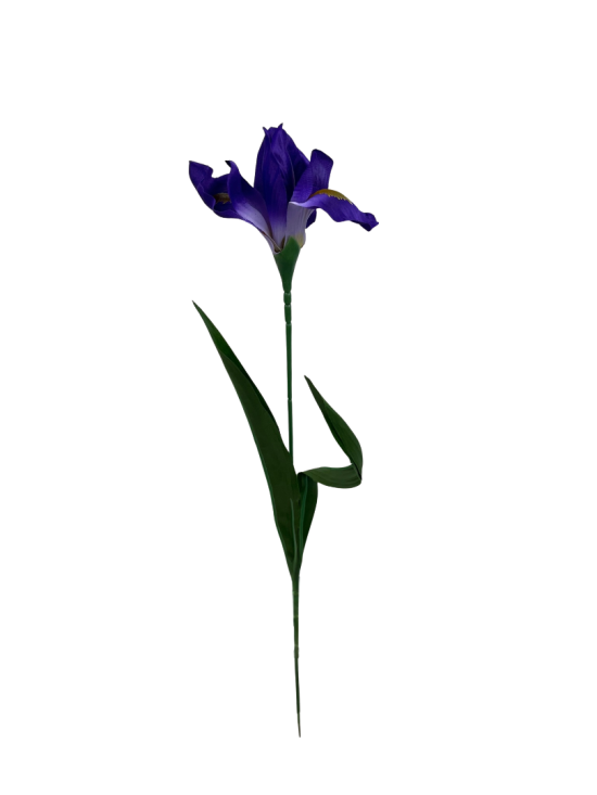 041598cf 7366 44c8 abdc 8d7db08226a1