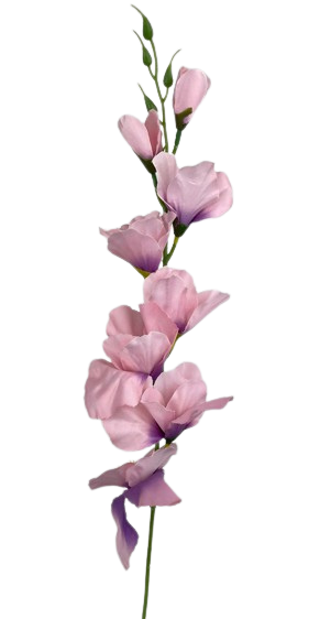 F186e496 c672 4b7c 9e08 c77692da4bf1