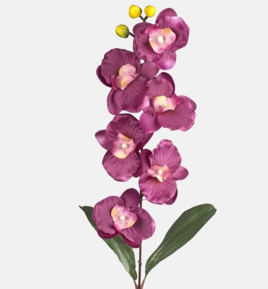 Schermafbeelding 2023 08 31 234353