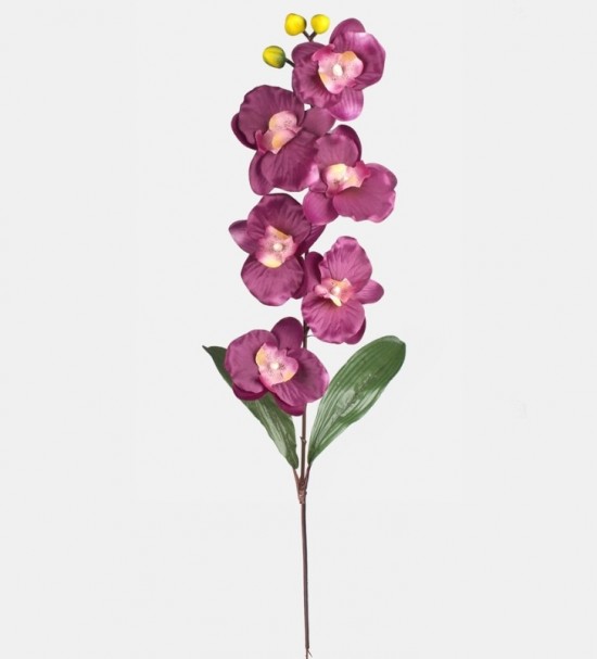 Schermafbeelding 2023 08 31 234407