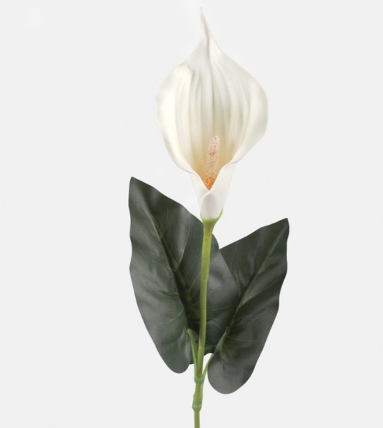 Schermafbeelding 2023 08 31 234429