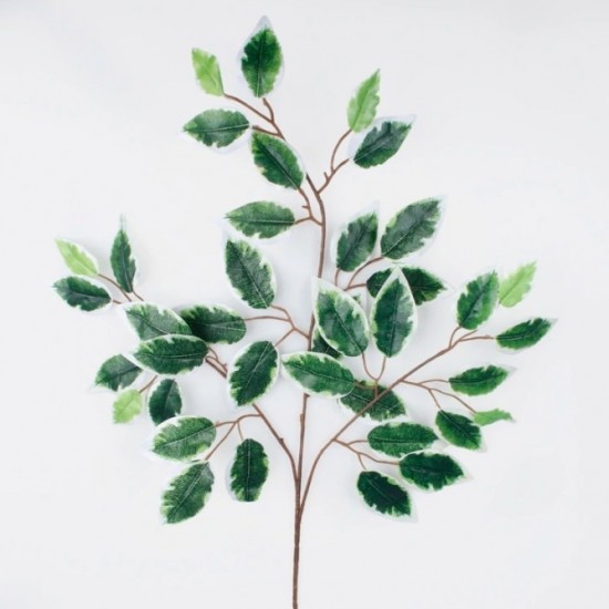 Schermafbeelding 2025 05 18 145009